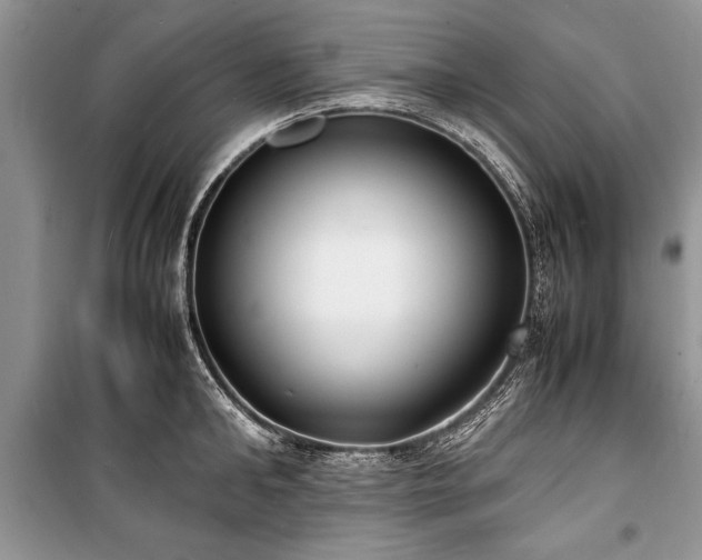 X0000100980902200806241540