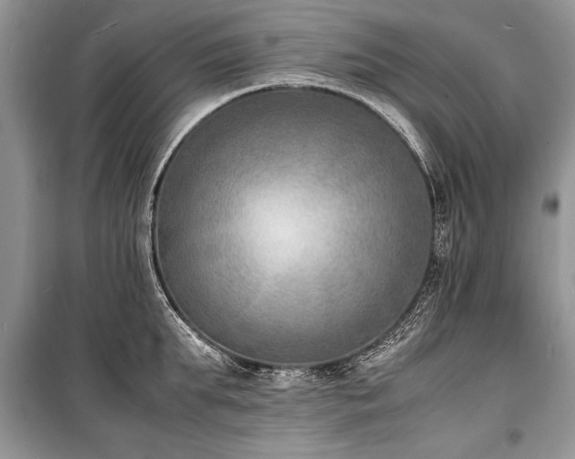 X0000100980903200806241540