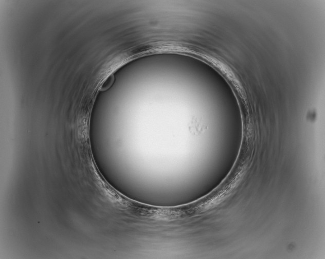 X0000100980905200806241540