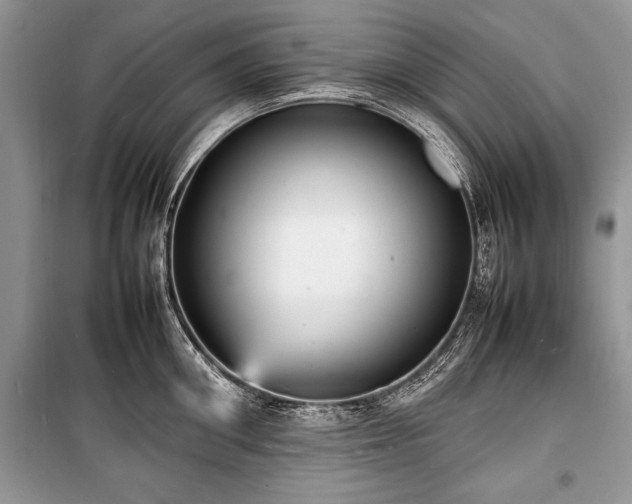X0000100980906200806241540