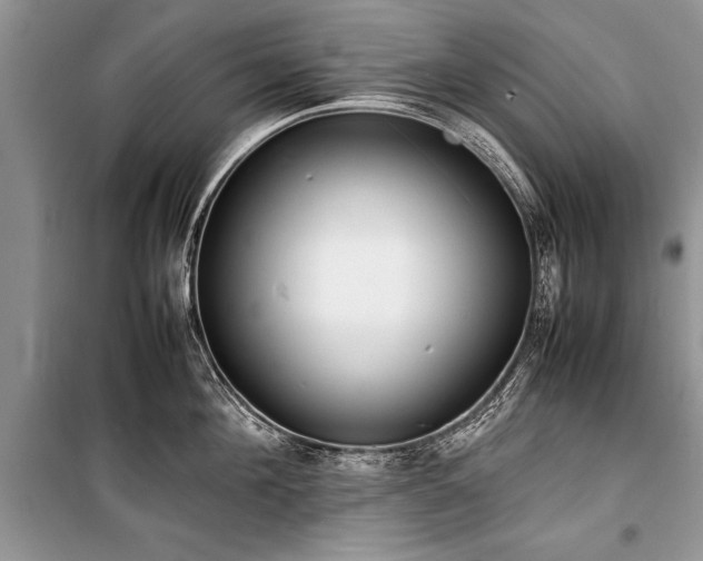 X0000100980908200806241540