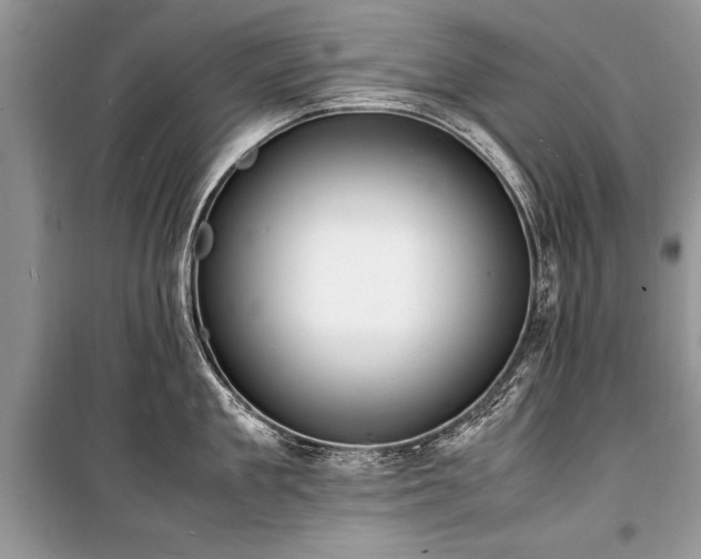 X0000100980909200806241540