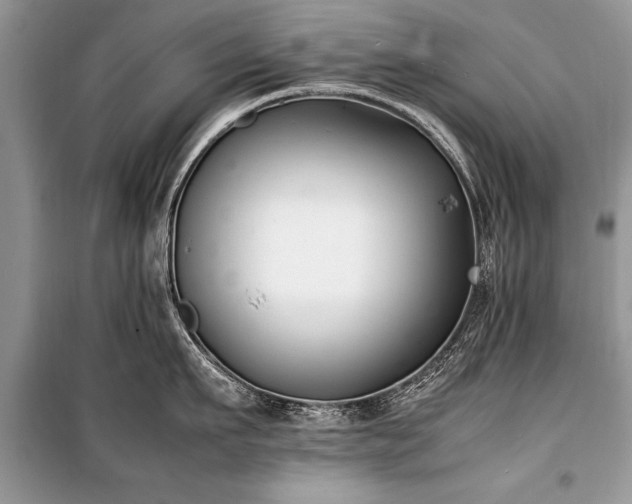 X0000100980911200806241540