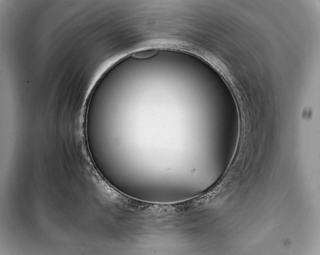 X0000100980912200806241540