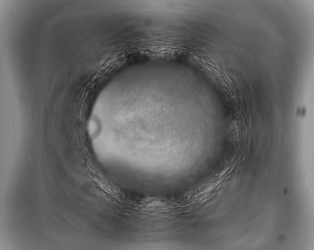 X0000100980913200806241539
