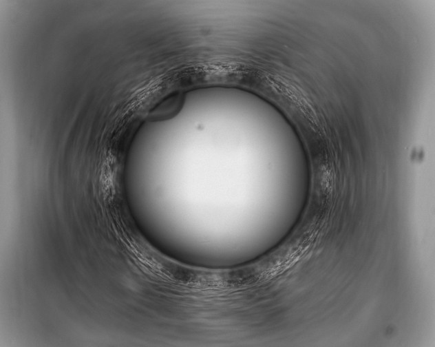 X0000100980914200806241539