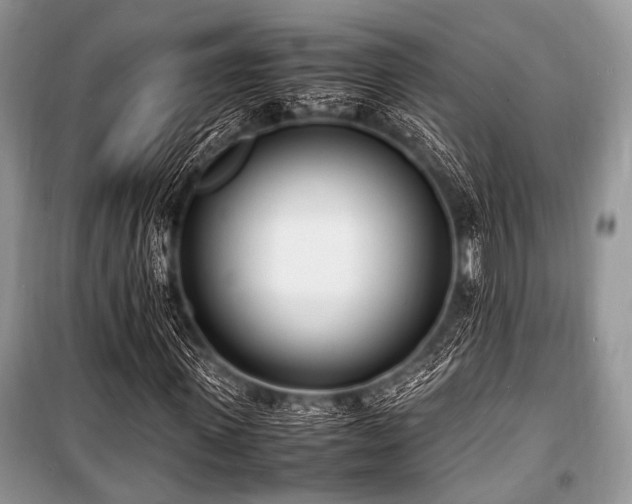 X0000100980915200806241539