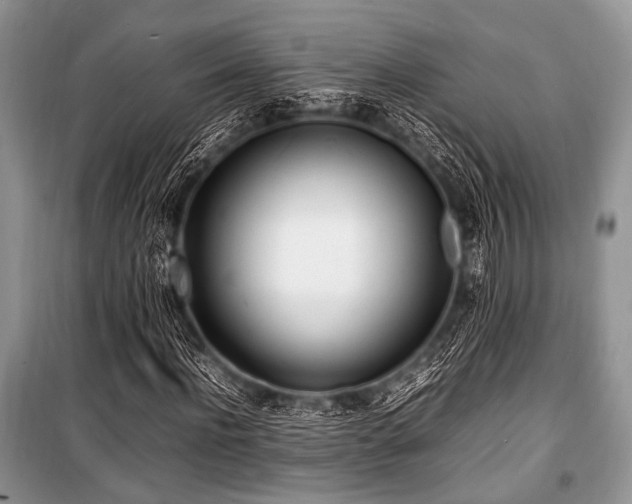 X0000100980916200806241539