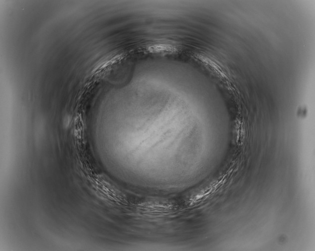 X0000100980917200806241539