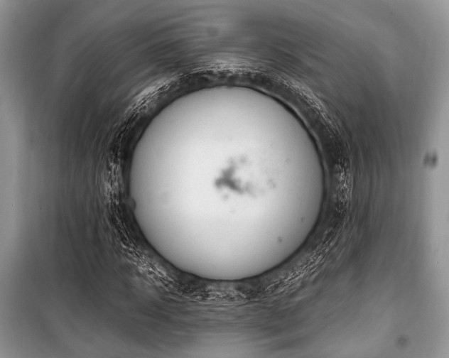 X0000100980918200806241539
