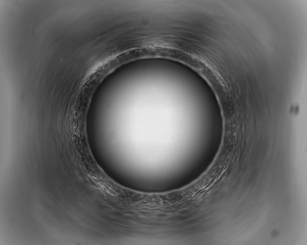 X0000100980919200806241539
