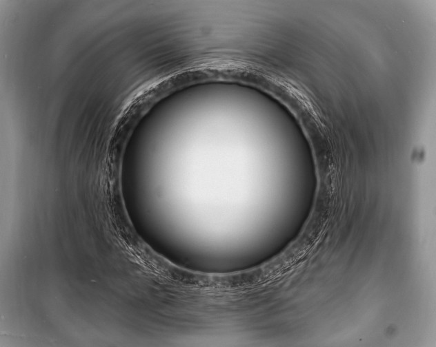 X0000100980920200806241539