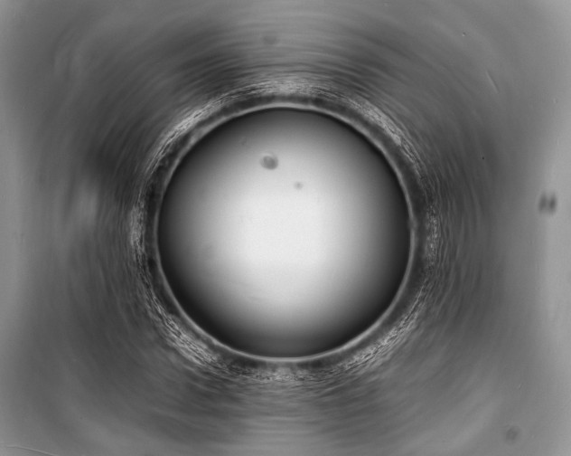 X0000100980922200806241539