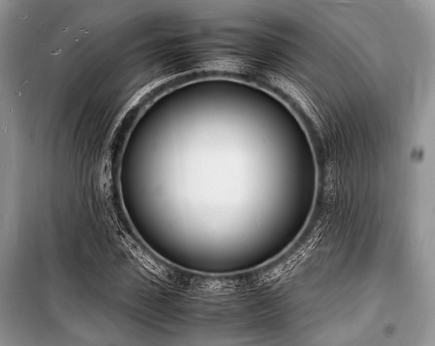 X0000100980923200806241539