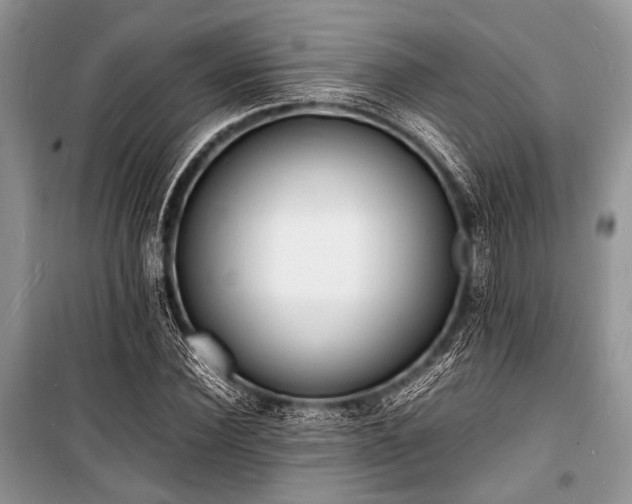 X0000100980924200806241539