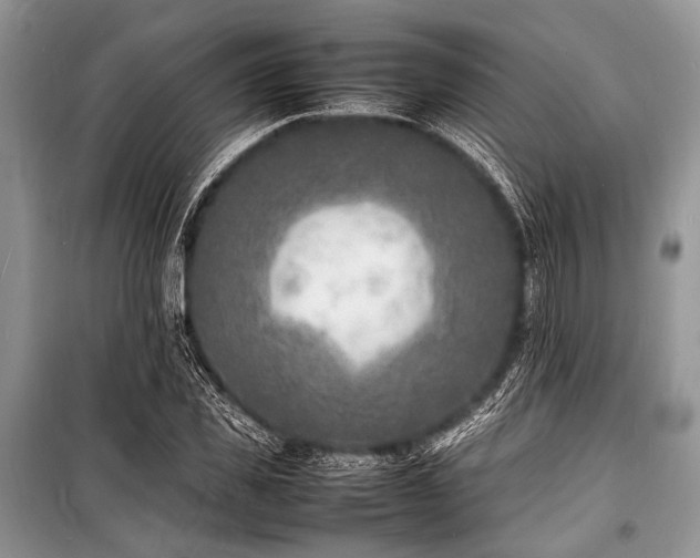 X0000100980925200806241539