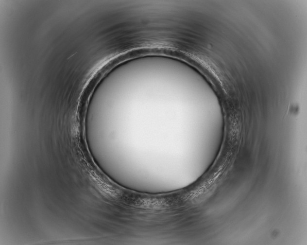 X0000100980927200806241539