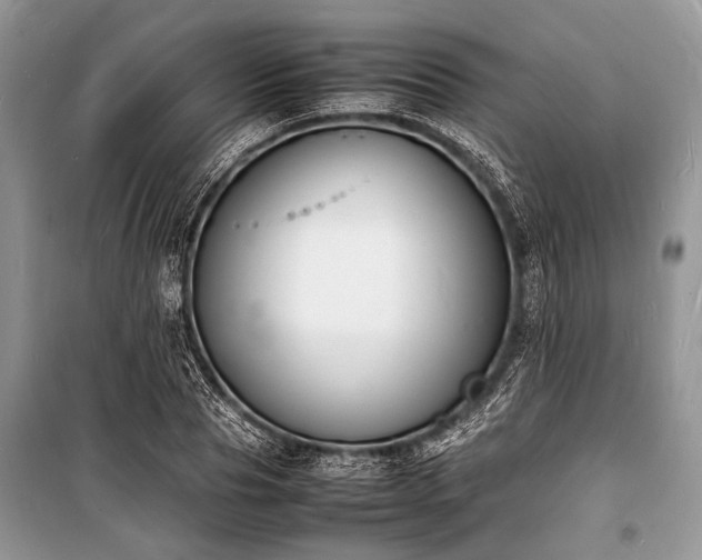 X0000100980929200806241539
