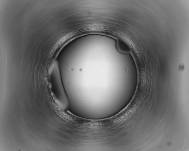 X0000100980930200806241539
