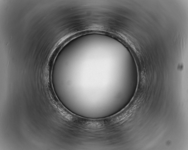 X0000100980931200806241539