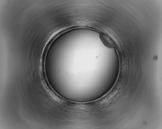 X0000100980932200806241539