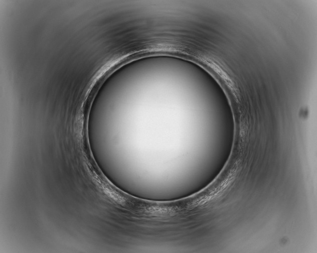 X0000100980933200806241539