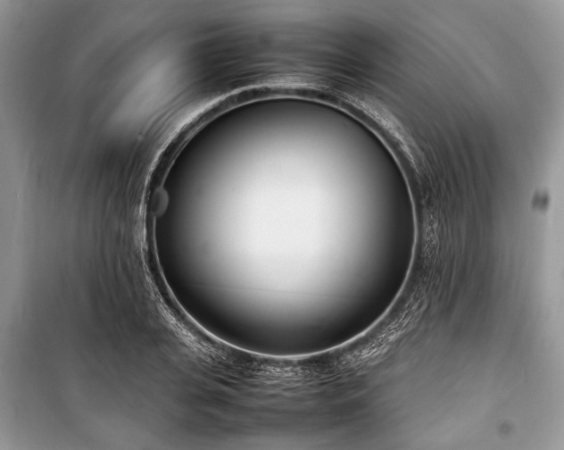X0000100980935200806241539