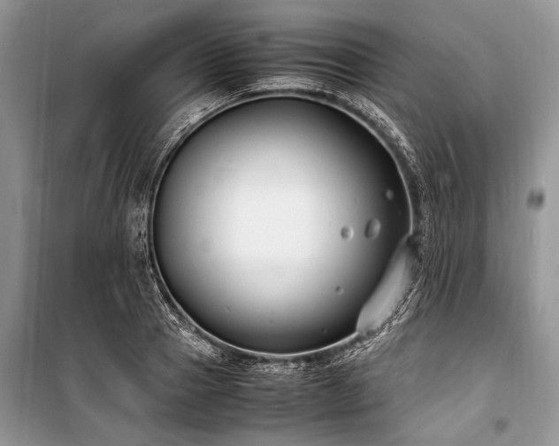 X0000100980937200806241539