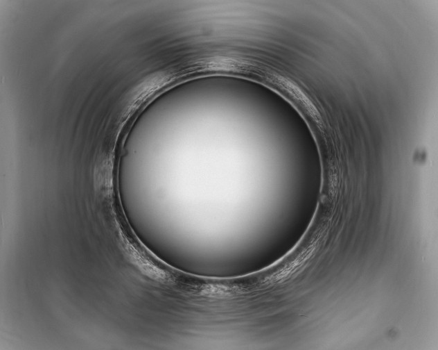 X0000100980938200806241539