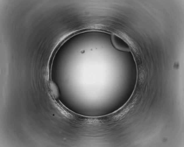 X0000100980940200806241539