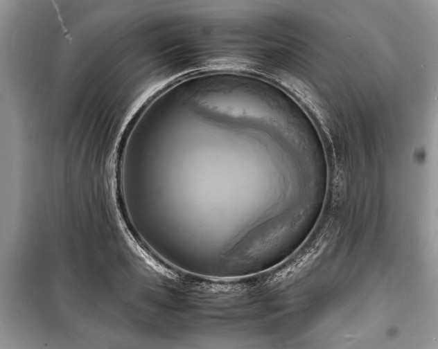 X0000100980941200806241539