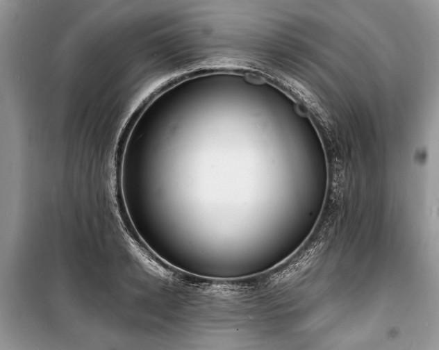 X0000100980942200806241539