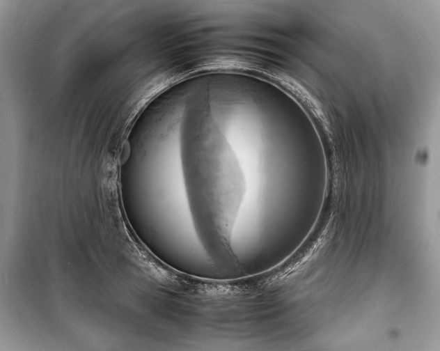 X0000100980945200806241539