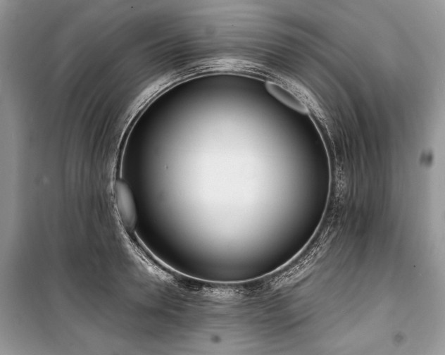 X0000100980946200806241539