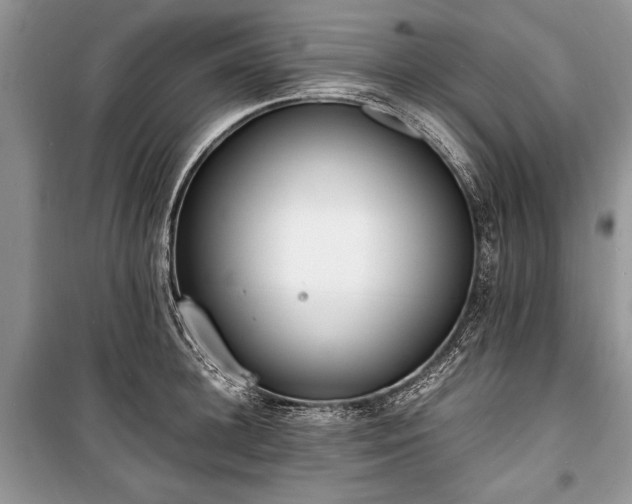 X0000100980948200806241539