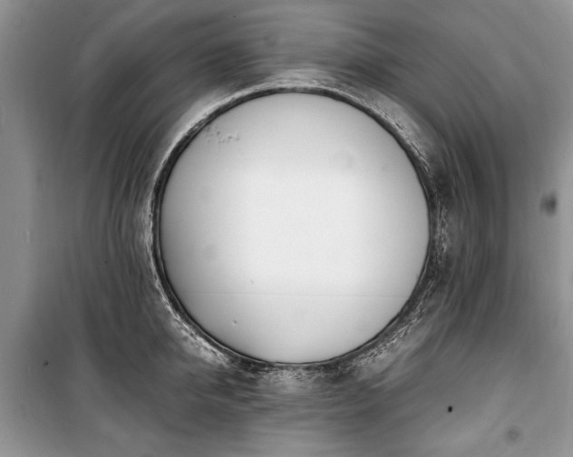 X0000100980950200806241539