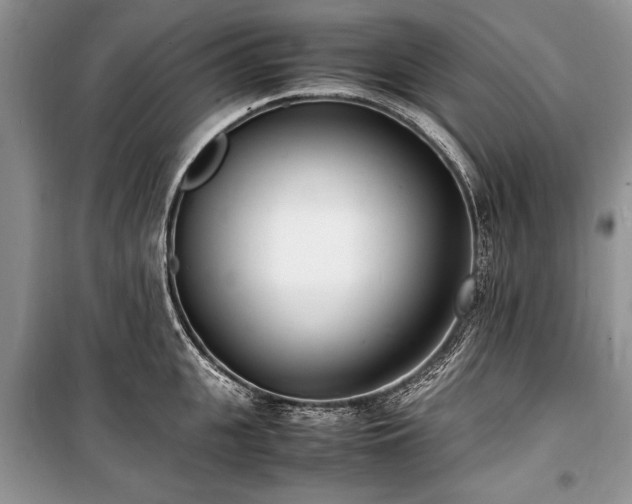 X0000100980951200806241539