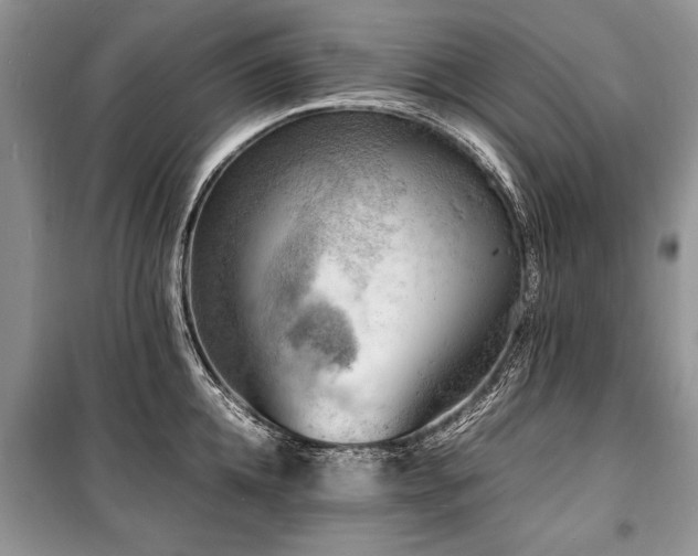 X0000100980952200806241540