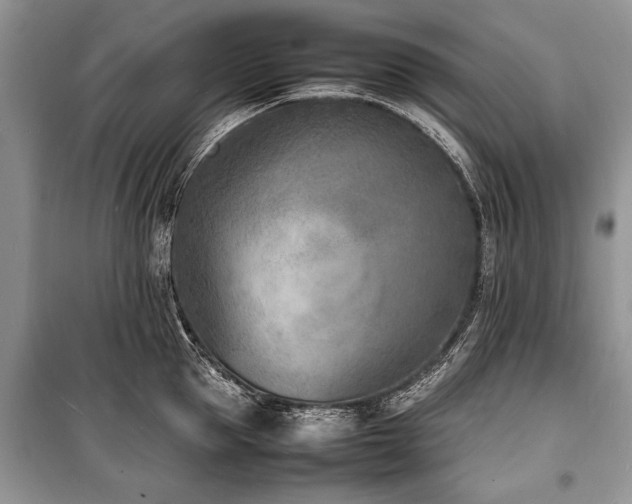 X0000100980953200806241540