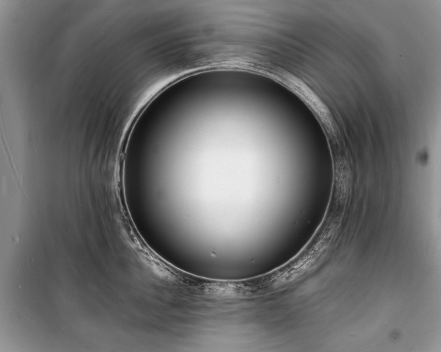 X0000100980956200806241540