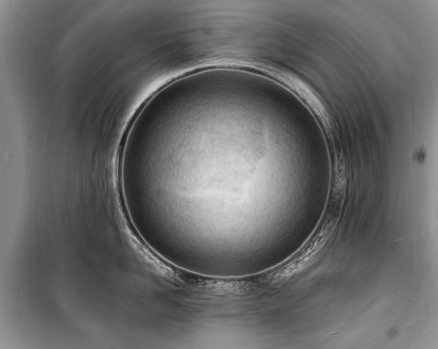 X0000100980958200806241540