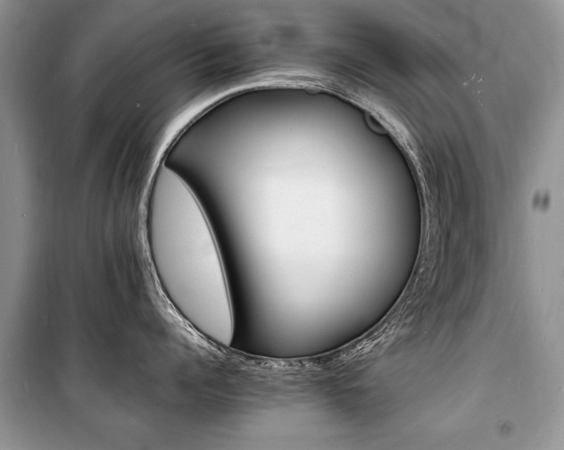 X0000100980960200806241540