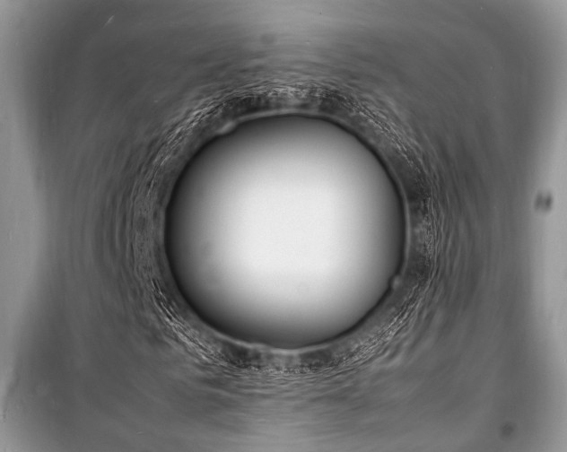 X0000100980961200806241539