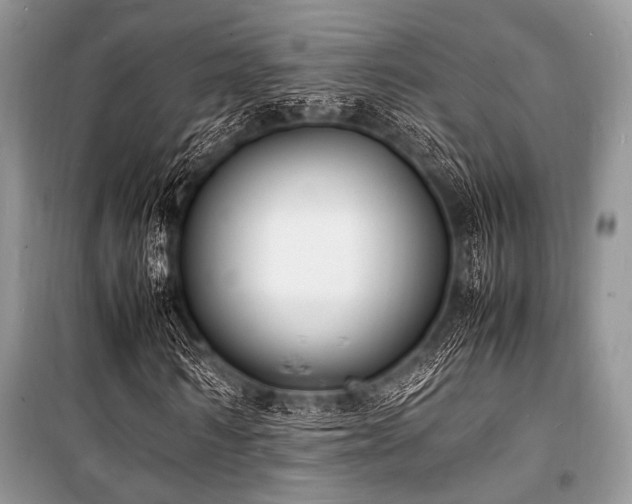 X0000100980962200806241539