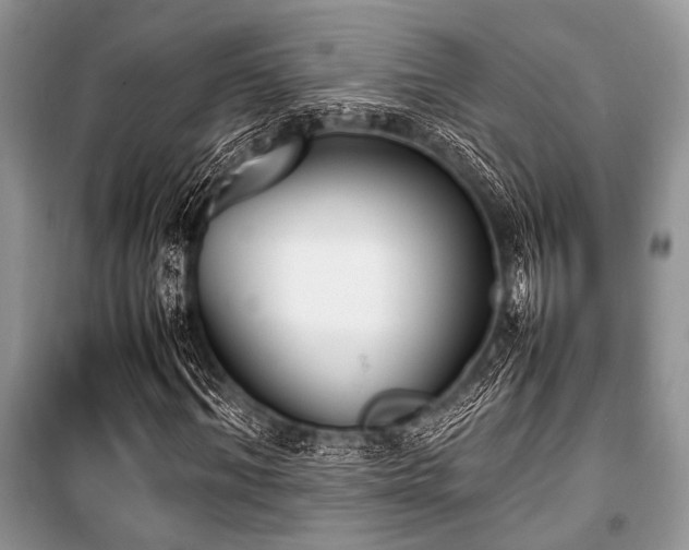 X0000100980964200806241539