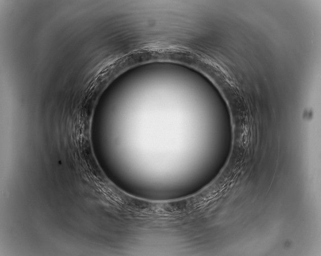 X0000100980966200806241539