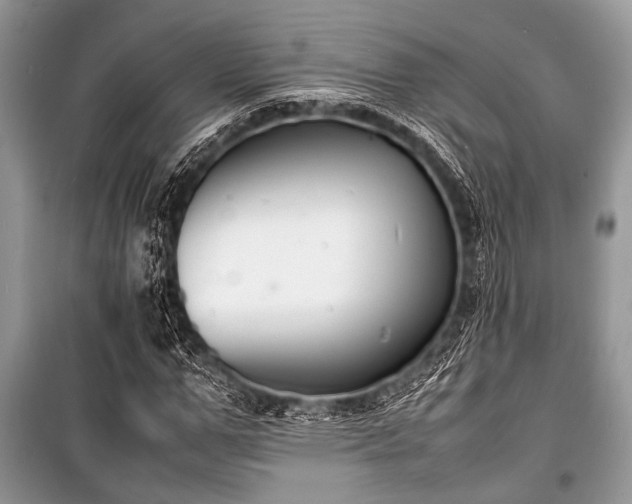 X0000100980967200806241539