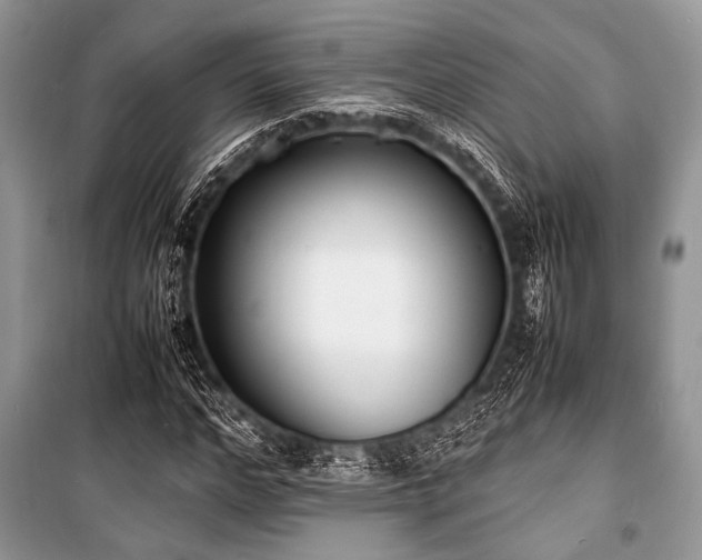 X0000100980968200806241539