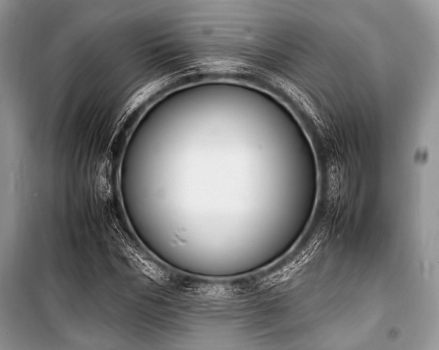 X0000100980970200806241539