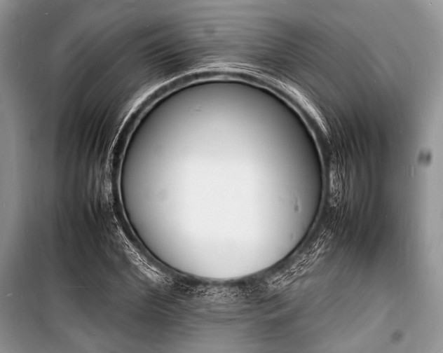 X0000100980972200806241539